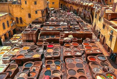 TUNUS  TK  2026 (TUN-TUN)