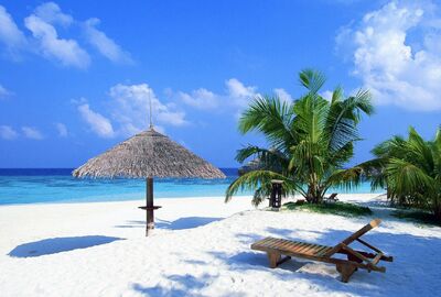 DOMİNİK CUMHURİYETİ ADA TURU (WHALA BAVARO) 2026 AF (LRM-LRM)