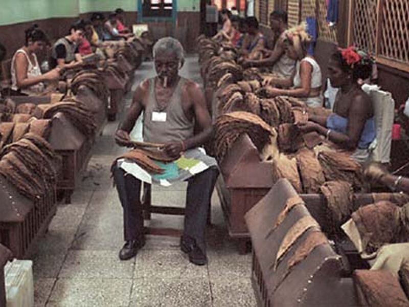 ELEGANT KÜBA Türk Hava Yolları ile 7 Gece