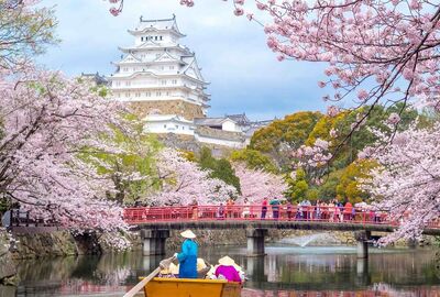 Dolu Dolu Sakura Dönemi Özel Japonya & Kore Turu Mistik Rotalar V2