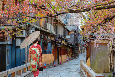 Dolu Dolu Sakura Dönemi Özel Japonya & Kore Turu Mistik Rotalar V3