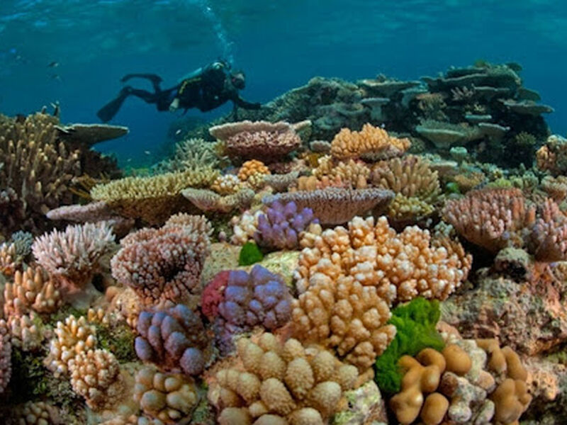 SLOVENYA& AVUSTURYA &HIRVATISTAN ŞAHESERLERİ TURU 3 GECE