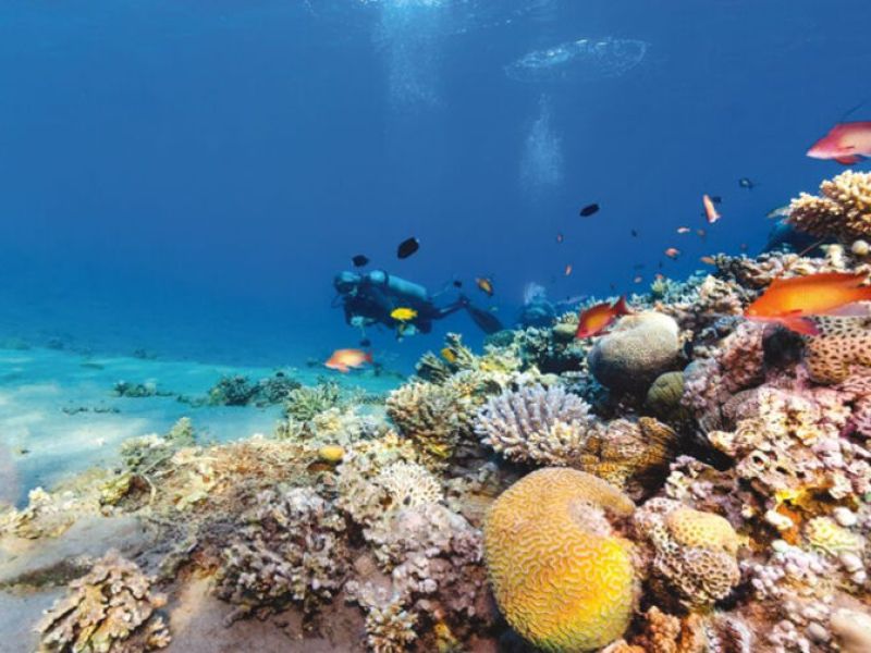 ADANA’DAN KAHİRE & SHARM EL SHEIKH TURU Air Cairo Havayolları Özel Seferi ile 4 gece