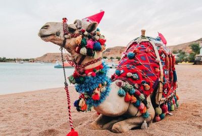 SHARM EL SHEIKH & (İSKENDERİYE) & KAHİRE TURU Pegasus Havayolları ile 4 gece