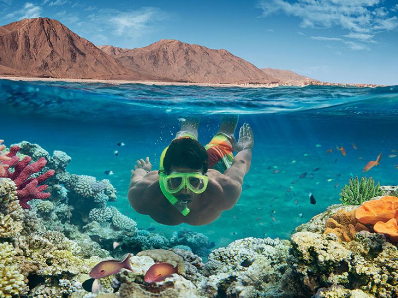 THY ile İstanbul'dan Sharm El Sheikh Turu 4 Gece (367)