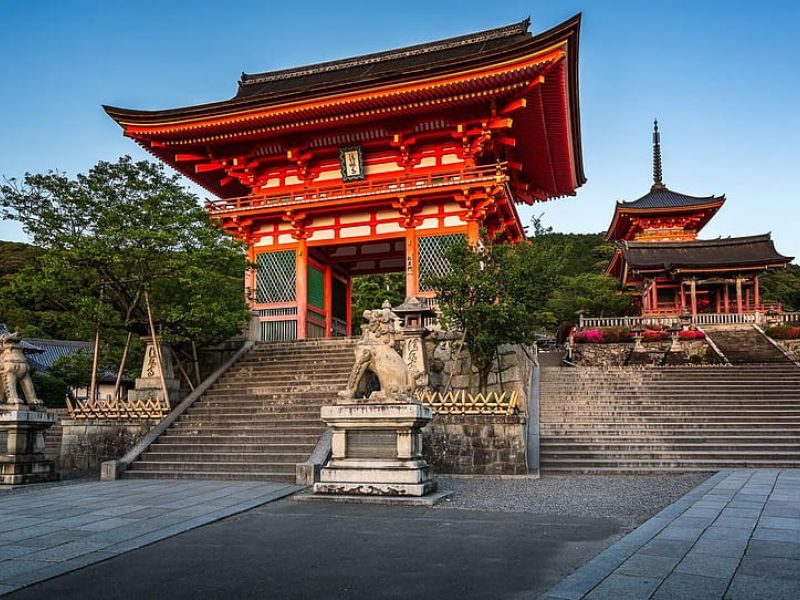 Ncl Jade ile Sonbahar Kiraz Çiçekleri Koyo Zamanı - Vizesiz Uzakdoğu İncileri Japonya & Güney Kore