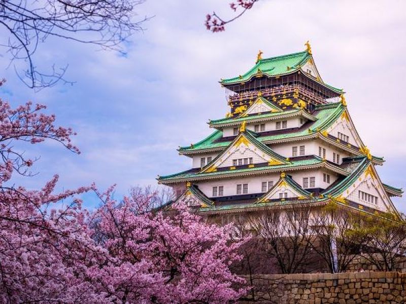 Ncl Jade ile Sonbahar Kiraz Çiçekleri Koyo Zamanı - Vizesiz Uzakdoğu İncileri Japonya & Güney Kore