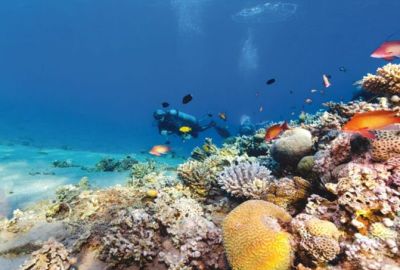 Pegasus İle Ankara Hareketli Kızıldeniz Rüyası; Prestij Sharm El Sheikh Turu 3 Gece