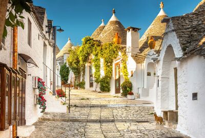 GÜNEY İTALYA 2026 TK (BRI-NAP)